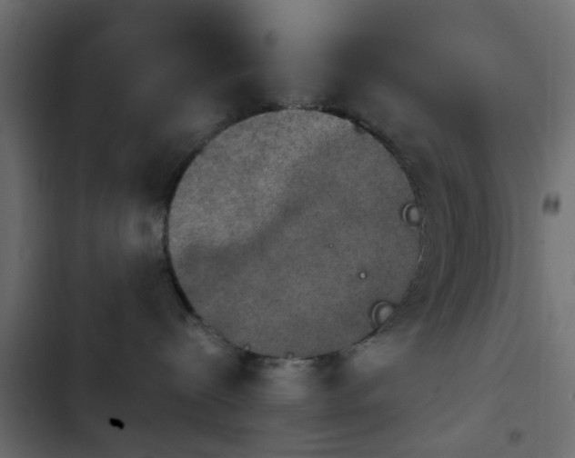 X0000103950288200809261755