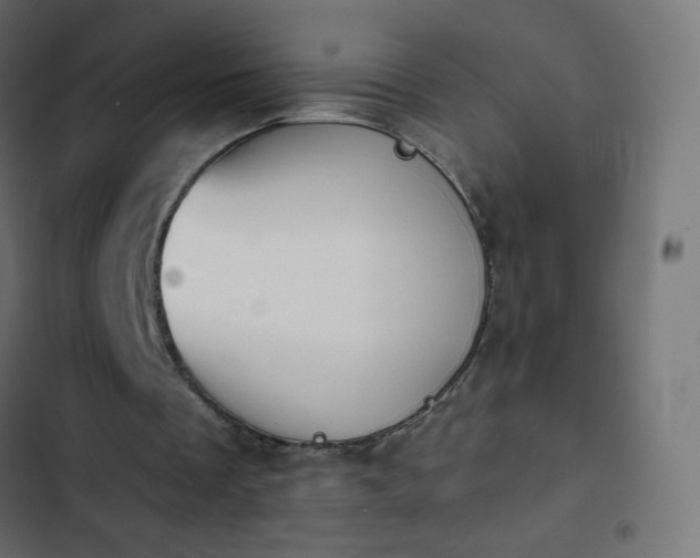 X0000103950289200809261754