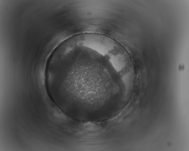 X0000103950290200809261754