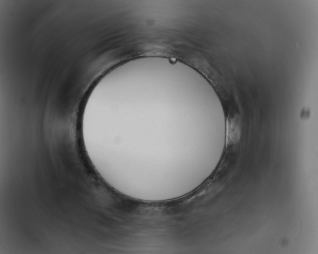 X0000103950291200809261754