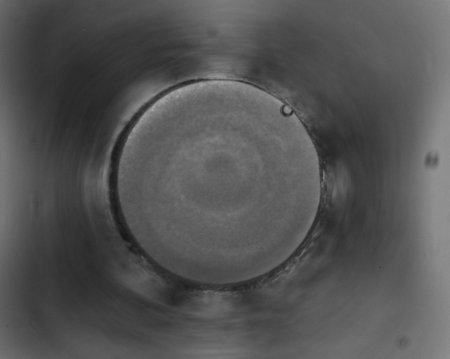 X0000103950292200809261754