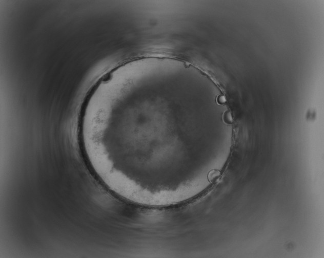 X0000103950293200809261754