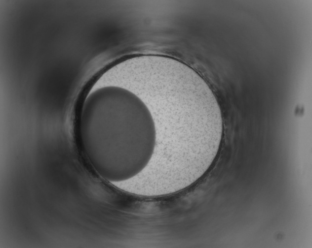 X0000103950295200809261754