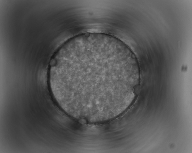 X0000103950297200809261754