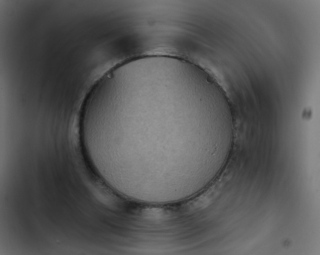 X0000103950298200809261754