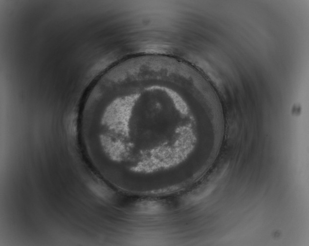 X0000103950299200809261754