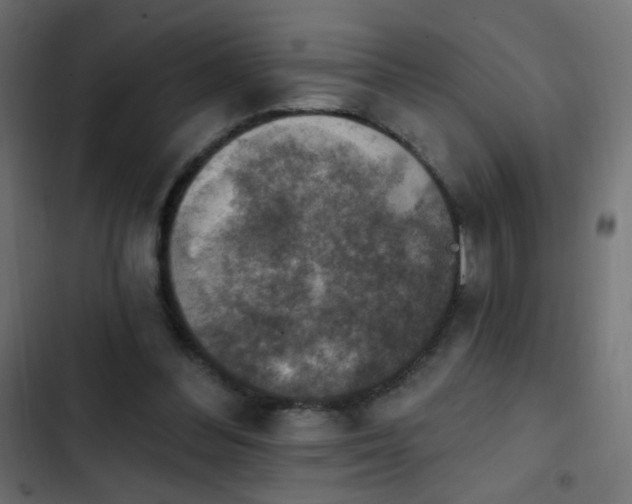 X0000103950300200809261754