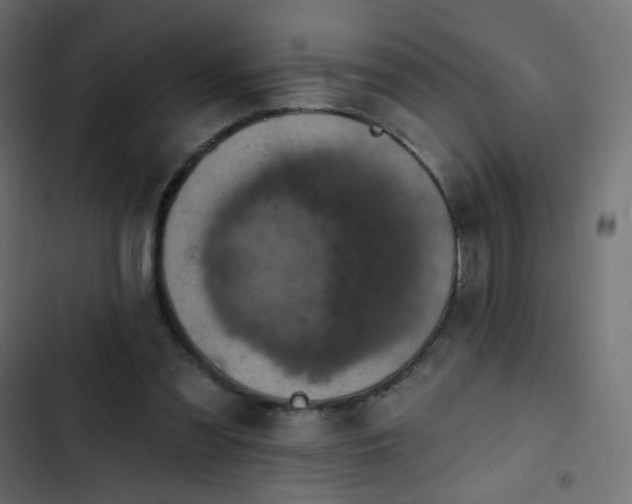 X0000103950301200809261754