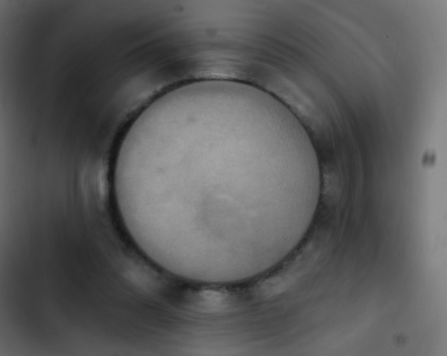 X0000103950302200809261754