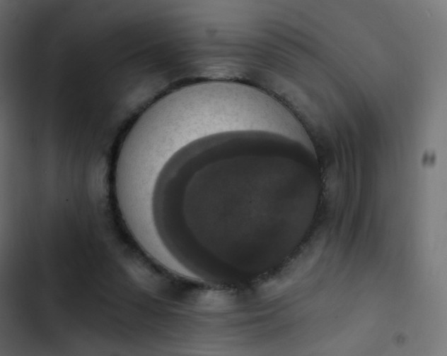 X0000103950303200809261754