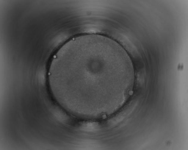 X0000103950304200809261754