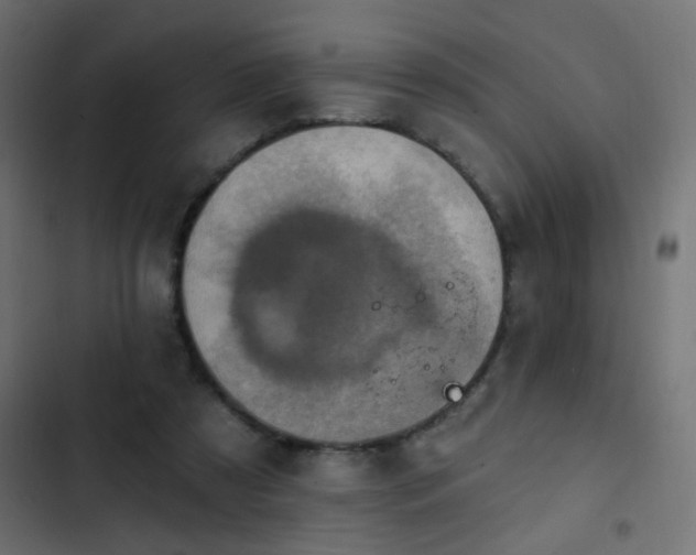 X0000103950305200809261754