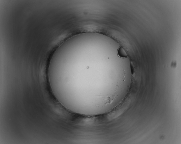 X0000103950306200809261754