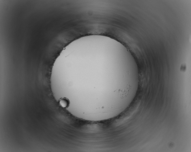 X0000103950307200809261754