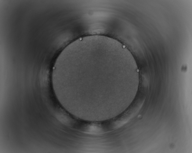 X0000103950308200809261754