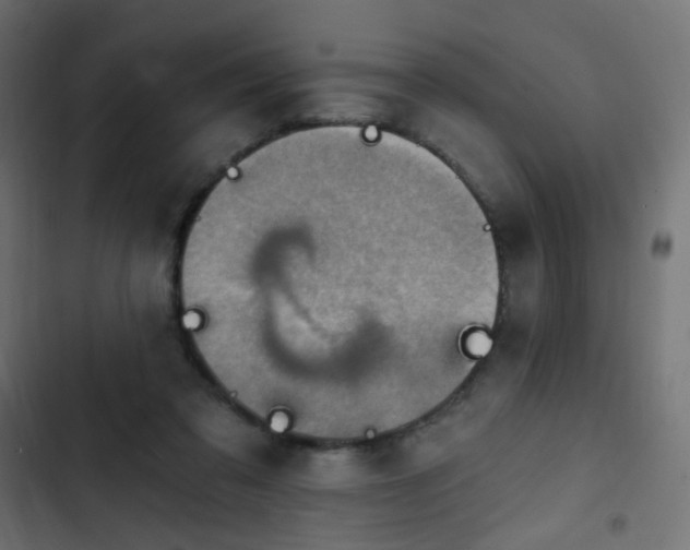 X0000103950309200809261754