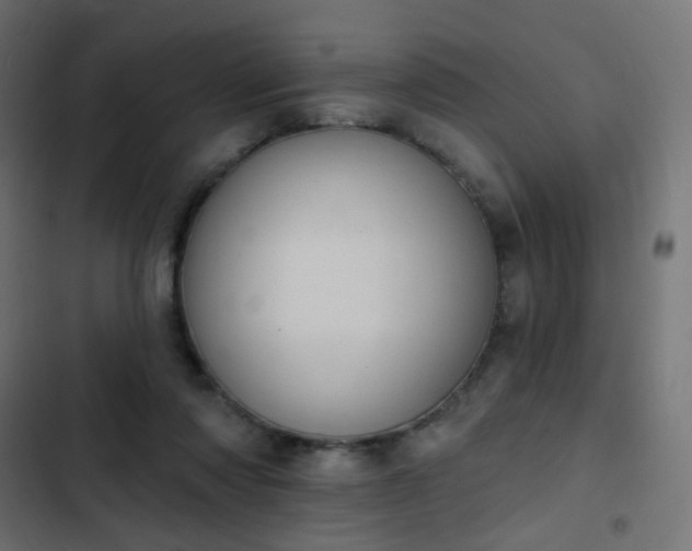 X0000103950310200809261754