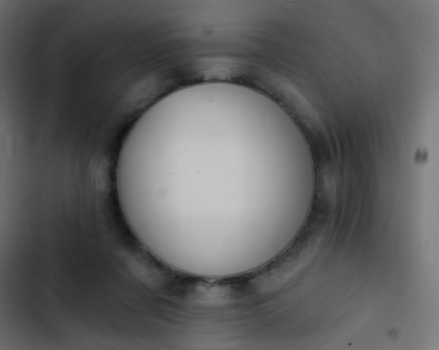 X0000103950311200809261754