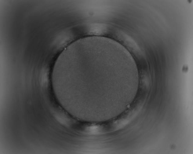 X0000103950312200809261754