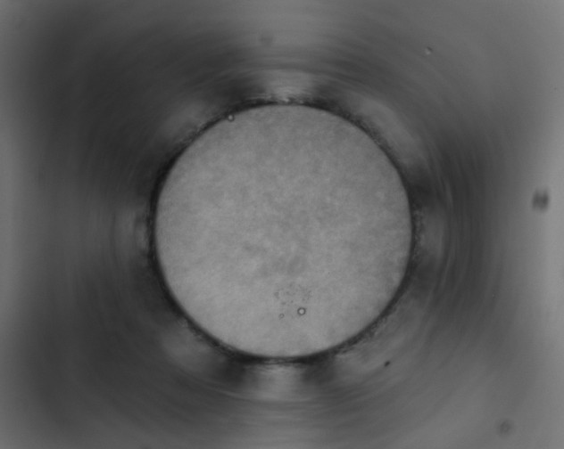 X0000103950313200809261754