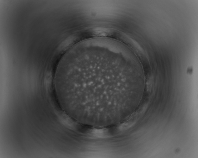 X0000103950314200809261754