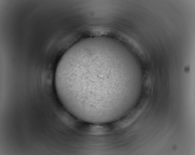 X0000103950315200809261754