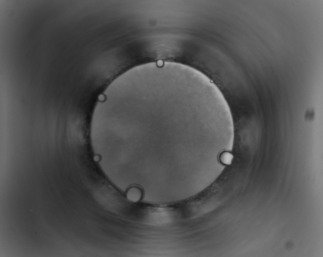 X0000103950316200809261754