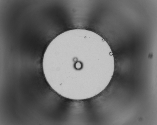 X0000103950317200809261754