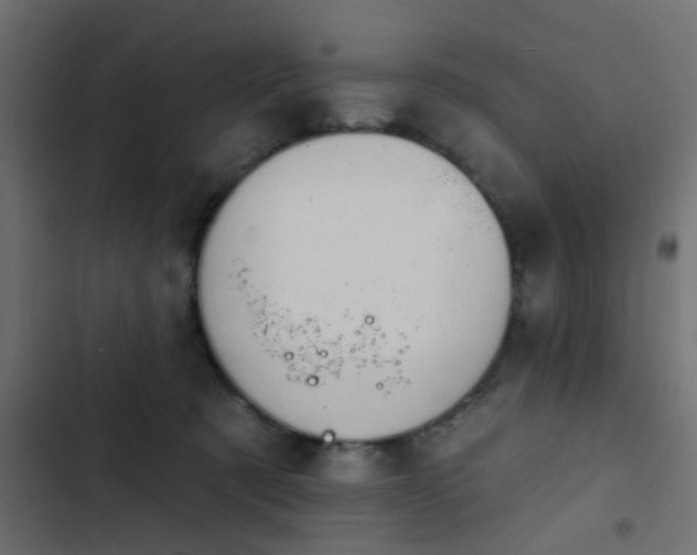 X0000103950321200809261754