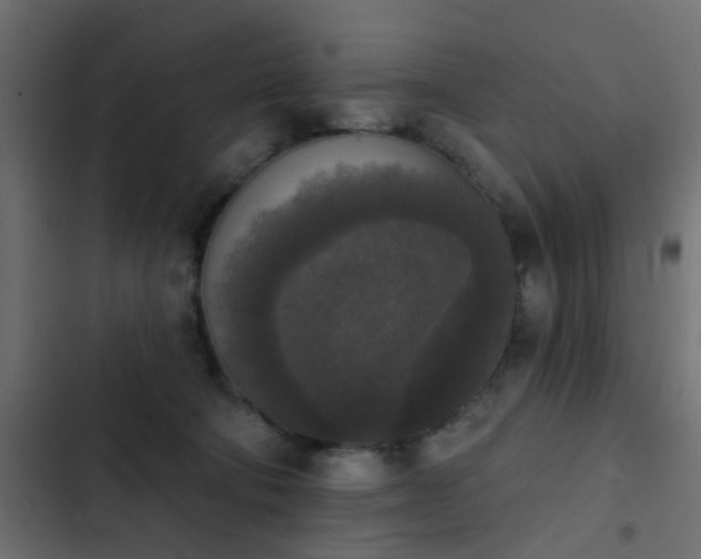 X0000103950322200809261754