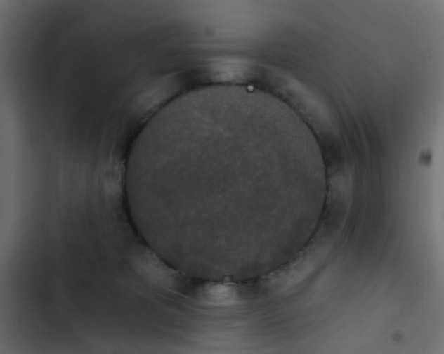 X0000103950325200809261754