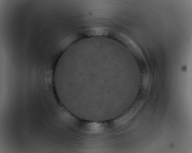 X0000103950326200809261754