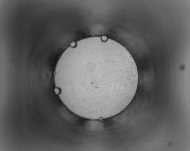 X0000103950327200809261754