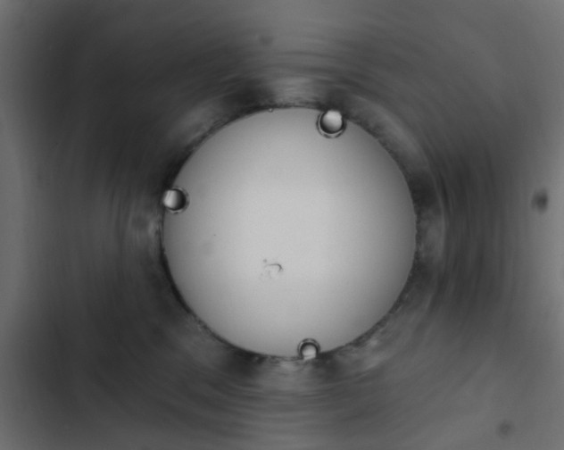 X0000103950329200809261754