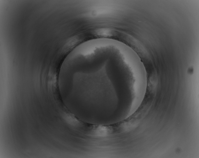 X0000103950330200809261754