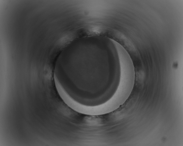 X0000103950331200809261754