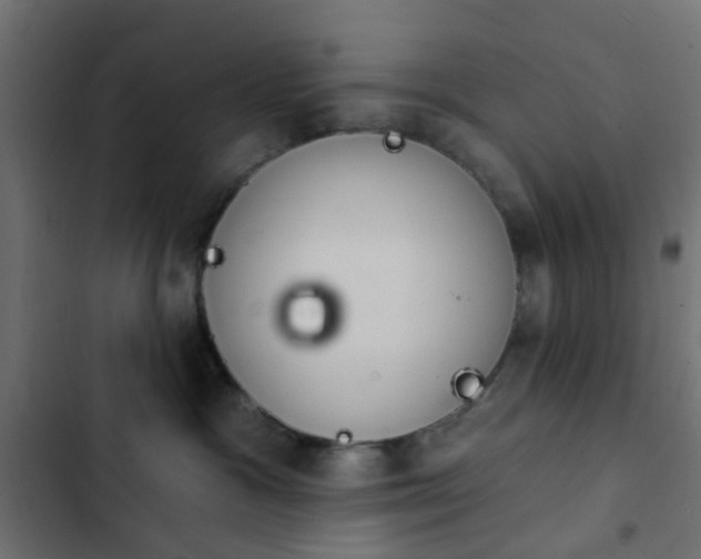 X0000103950333200809261754