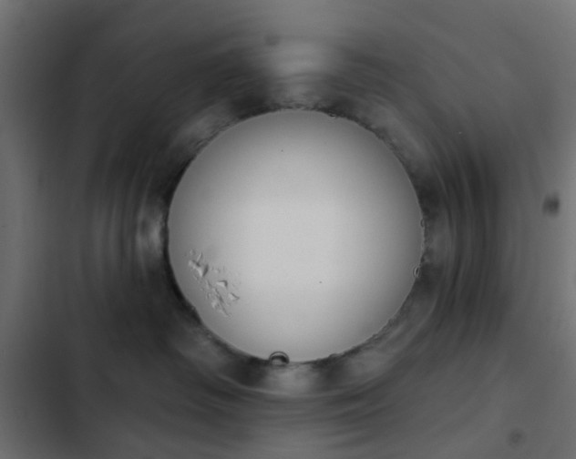 X0000103950334200809261754