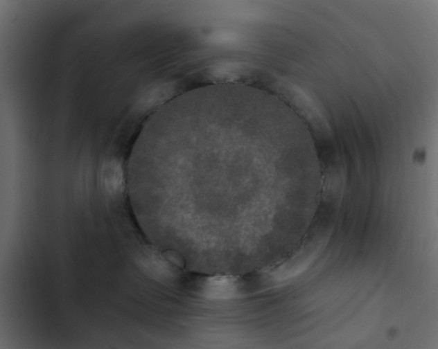 X0000103950335200809261754