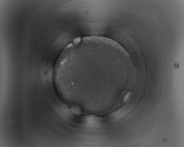 X0000103950336200809261754