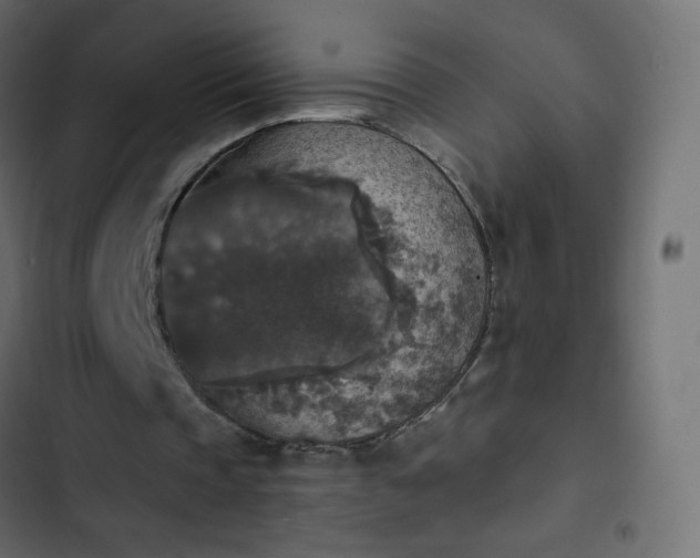 X0000103950337200809261753