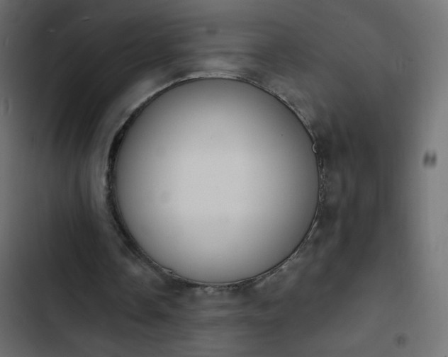 X0000103950338200809261753