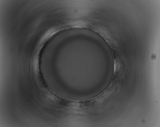 X0000103950339200809261753