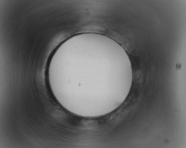 X0000103950340200809261753