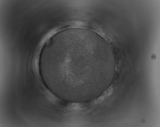 X0000103950341200809261753