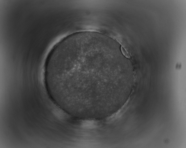 X0000103950342200809261753