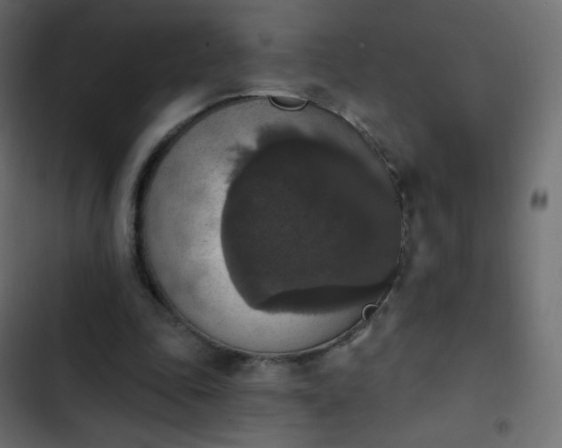 X0000103950343200809261753