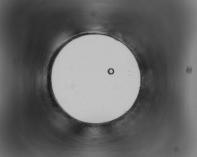 X0000103950344200809261753