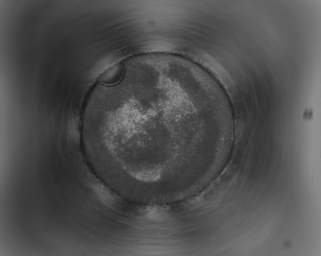 X0000103950345200809261753