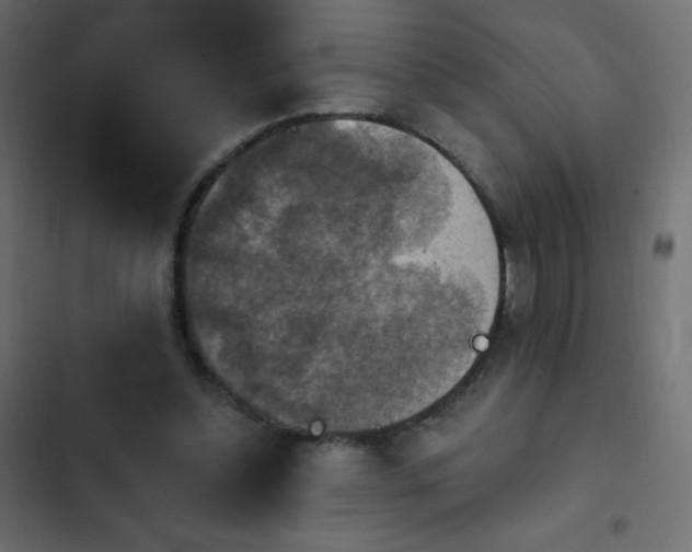 X0000103950348200809261753